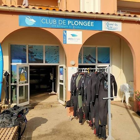 Residence Les Aloes T2 , Ideal 2 Adultes 2 Enfants A 2 Minutes De La Mer Cerbère Eksteriør billede