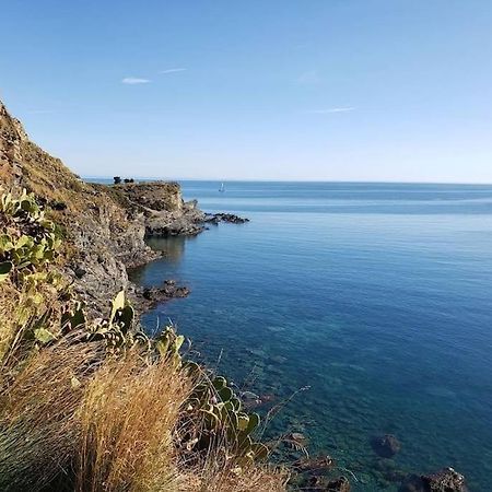 Residence Les Aloes T2 , Ideal 2 Adultes 2 Enfants A 2 Minutes De La Mer Cerbère Eksteriør billede