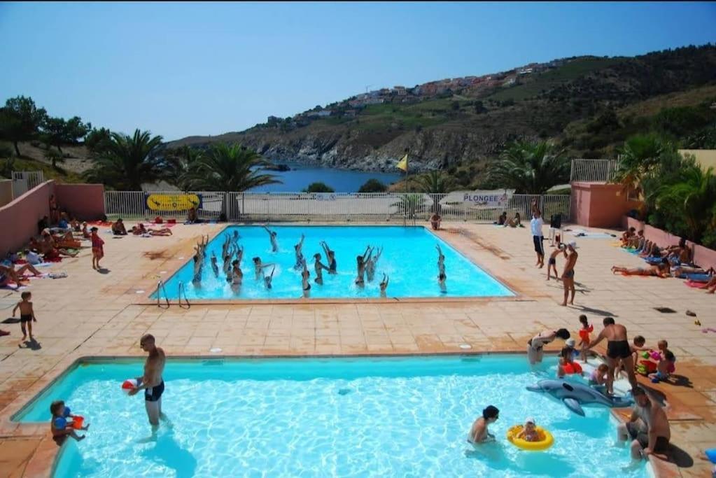 Residence Les Aloes T2 , Ideal 2 Adultes 2 Enfants A 2 Minutes De La Mer Cerbère Eksteriør billede