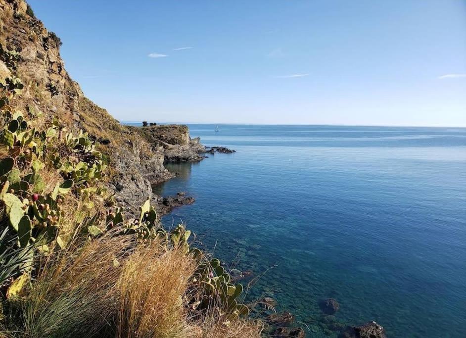 Residence Les Aloes T2 , Ideal 2 Adultes 2 Enfants A 2 Minutes De La Mer Cerbère Eksteriør billede